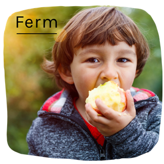 Ferm04
