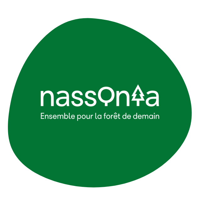 Nassonia