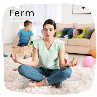 Ferm06