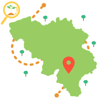 Carte Forêt